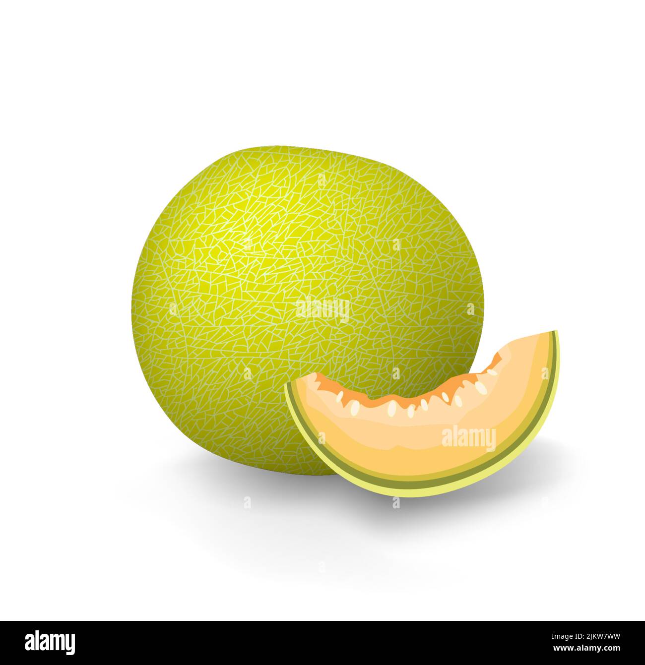 Yellow melon. Green honeydew cantaloupe fruit. Galia sweet melon slice