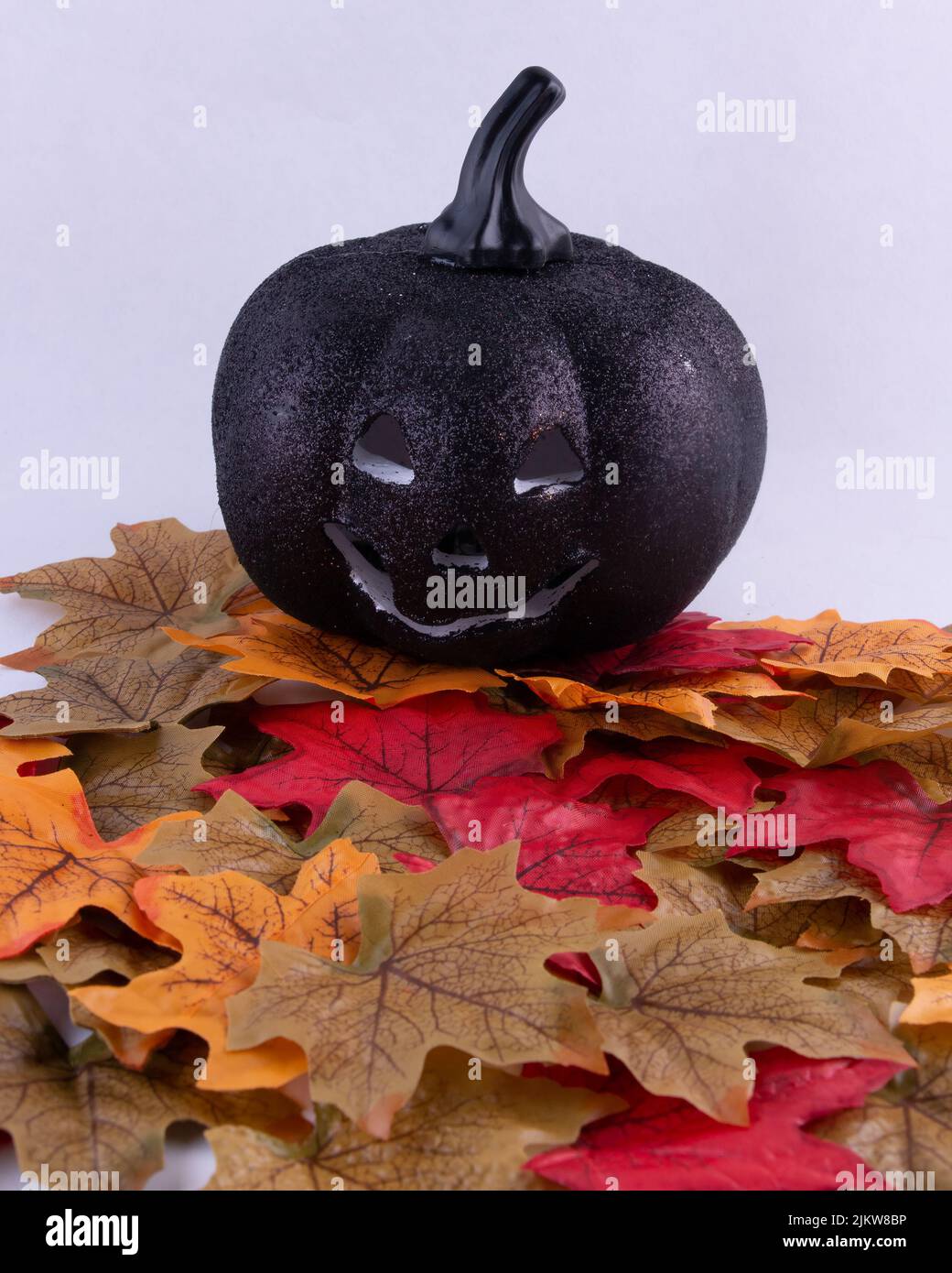 An evil grinning black pumpkin on colorful autumn leaves isolated on white background Stock Photo