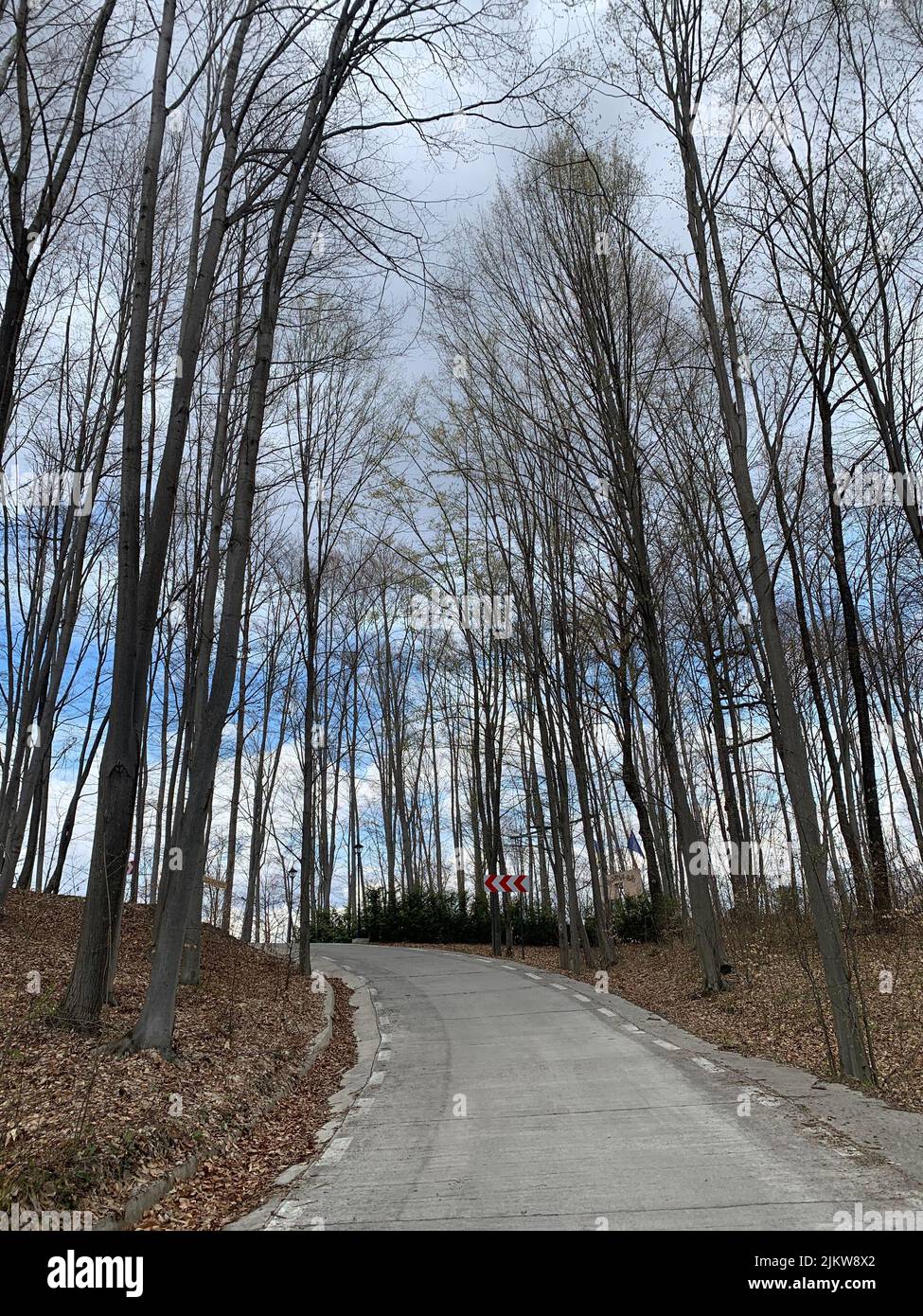 Vertical shot road hi-res stock photography and images - Alamy