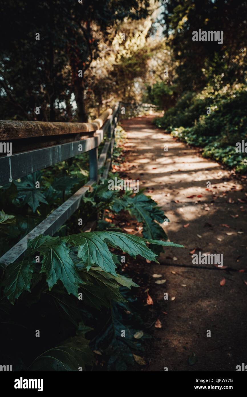 Dark pathway hi-res stock photography and images - Alamy