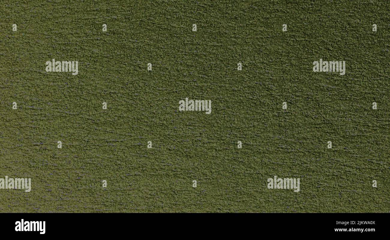 The green textured empty surface for the background. Stock Photo