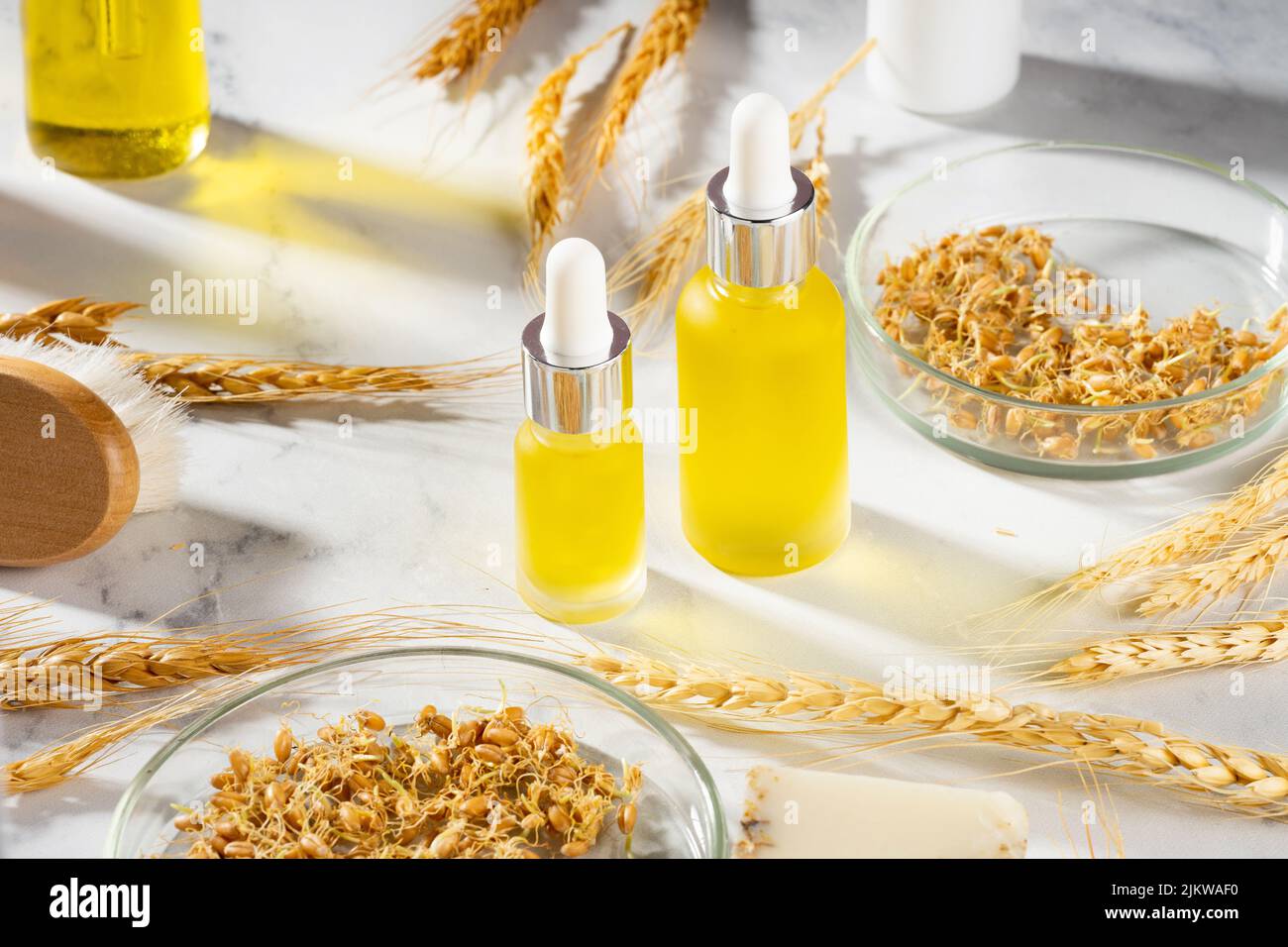 Detailed Wheat Germ Oil For Hair Capture Art Detailed Wheat Germ Oil For Hair Capture Art