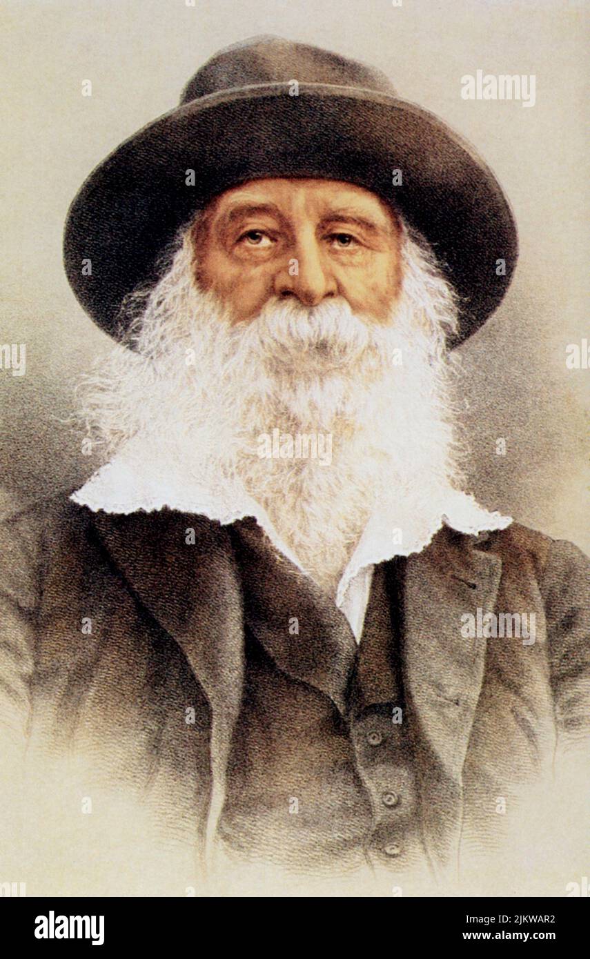 1890 c. : the most celebrated U.S.A. poet WALT  WHITMAN ( 1819 - 1892 ) -   POESIA - POETA - POETRY  - portrait - ritratto - hat - cappello - white bear - barba bianca - ancient older man - uomo anziano vecchio ----  Archivio GBB Stock Photo