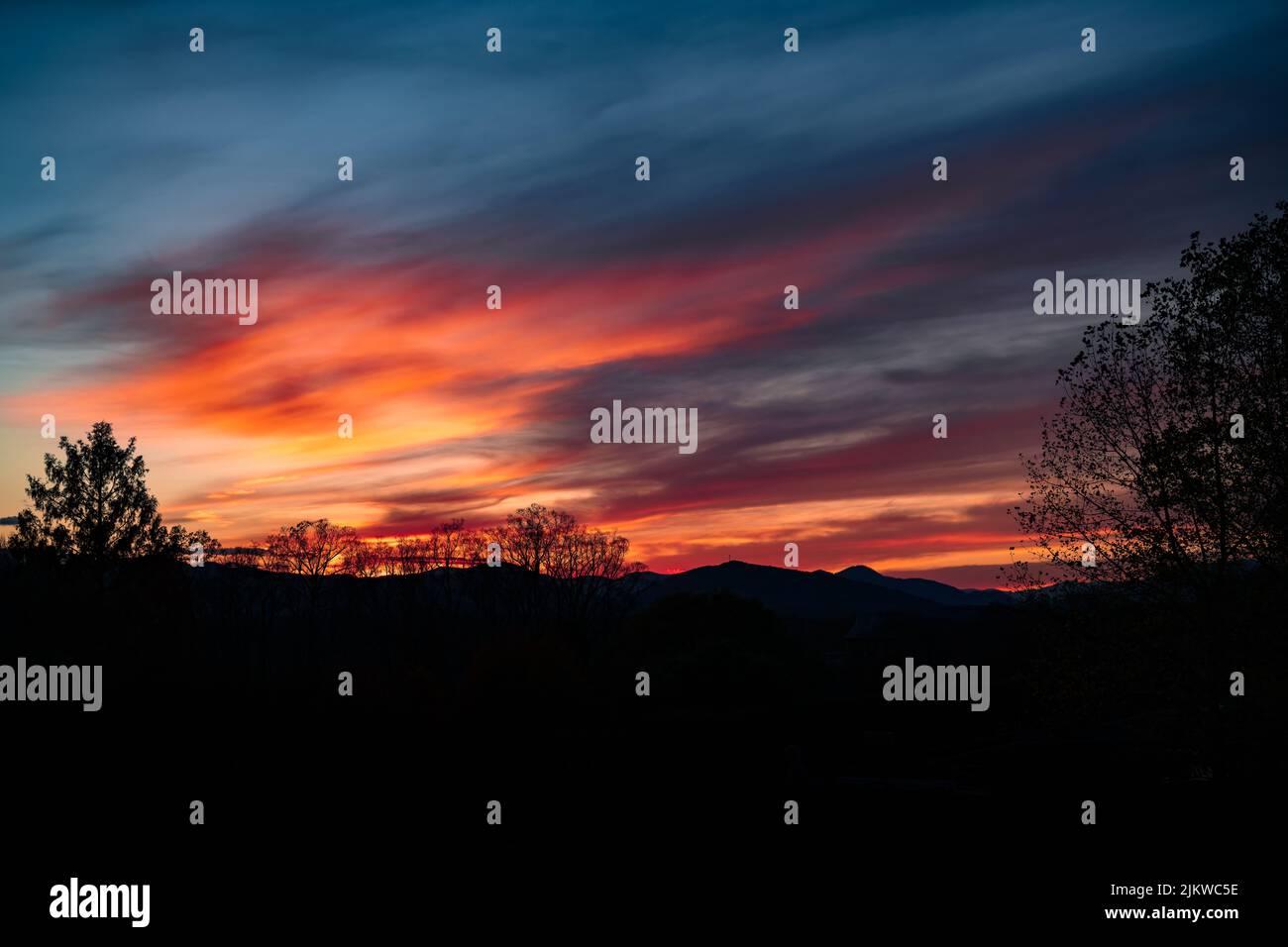 The tree silhouettes in the field at scenic sunset Stock Photo - Alamy