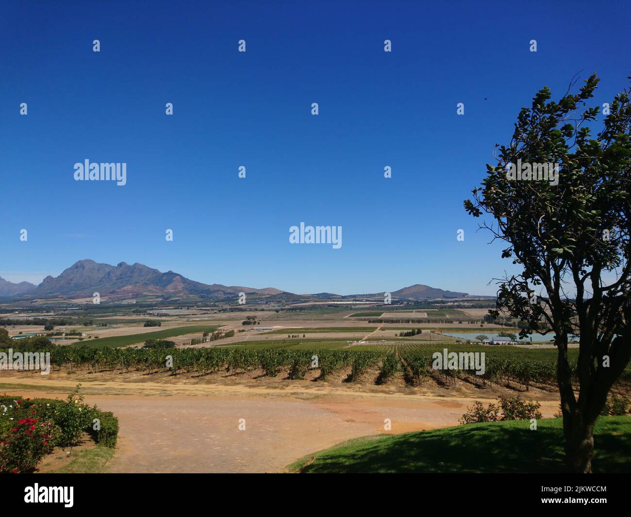 Agter paarl hi-res stock photography and images - Alamy