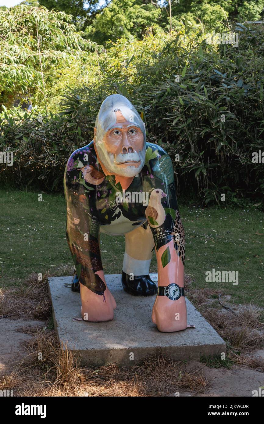 Jersey Zoo Durrell Wildlife Conservation Trust Channel Islands UK Stock