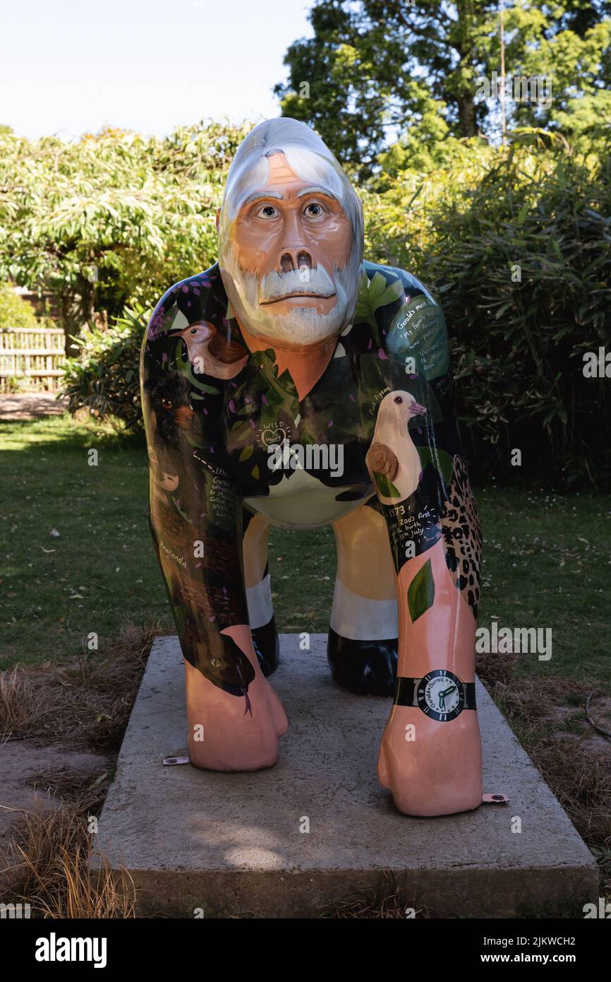 Jersey Zoo Durrell Wildlife Conservation Trust Channel Islands UK Stock