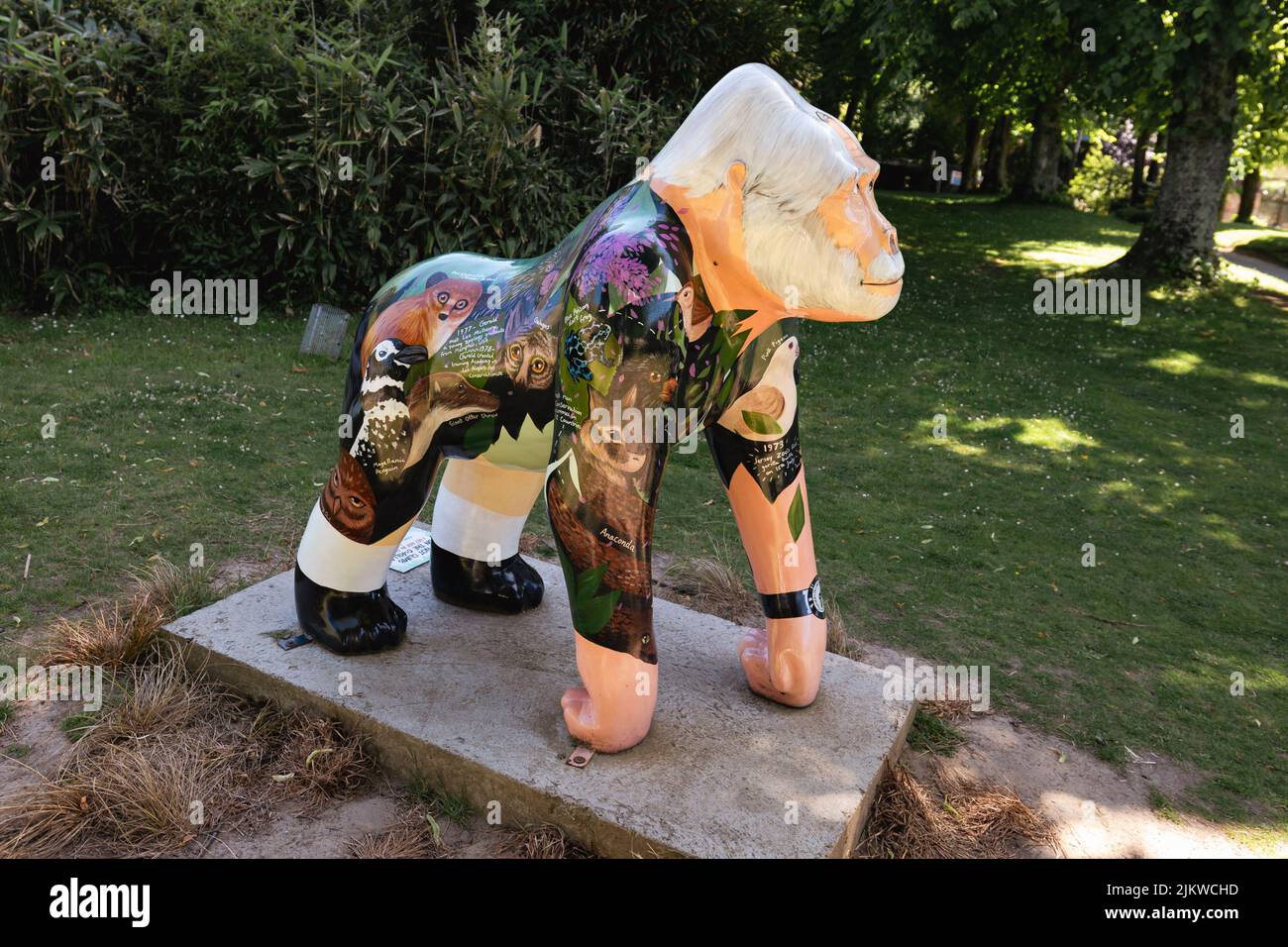 Jersey Zoo Durrell Wildlife Conservation Trust Channel Islands UK Stock