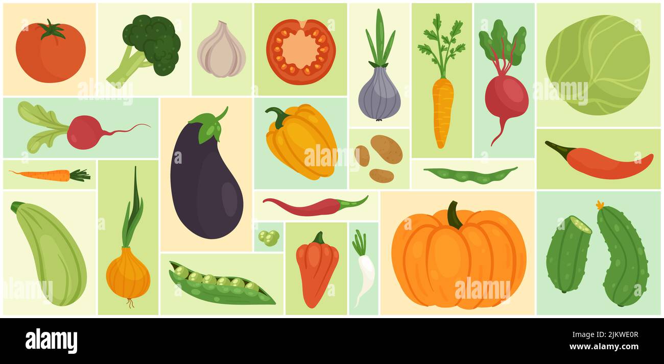 Vegetable set vector illustration. Cartoon fresh farm food ingredients for cooking, whole and half tomato cabbage daikon zucchini onion cucumber garlic pumpkin beet in geometric collage background Stock Vector
