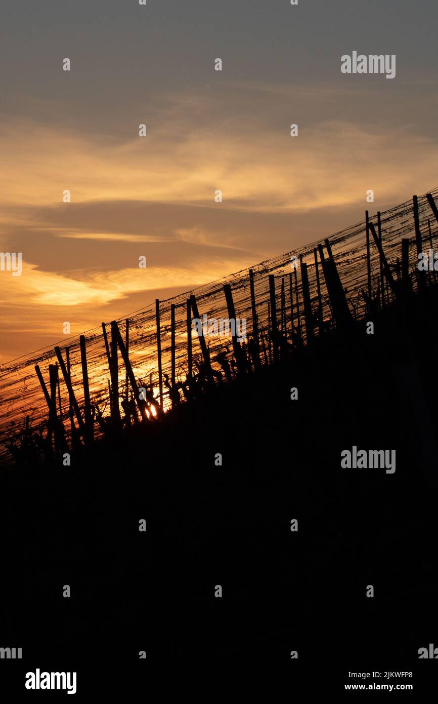 Silhouette of a fence hi-res stock photography and images - Alamy