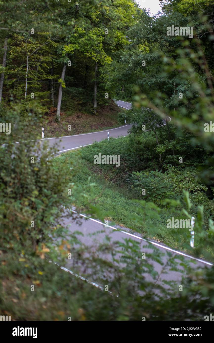 A vertical shot of a highway surrounded by trees Stock Photo - Alamy