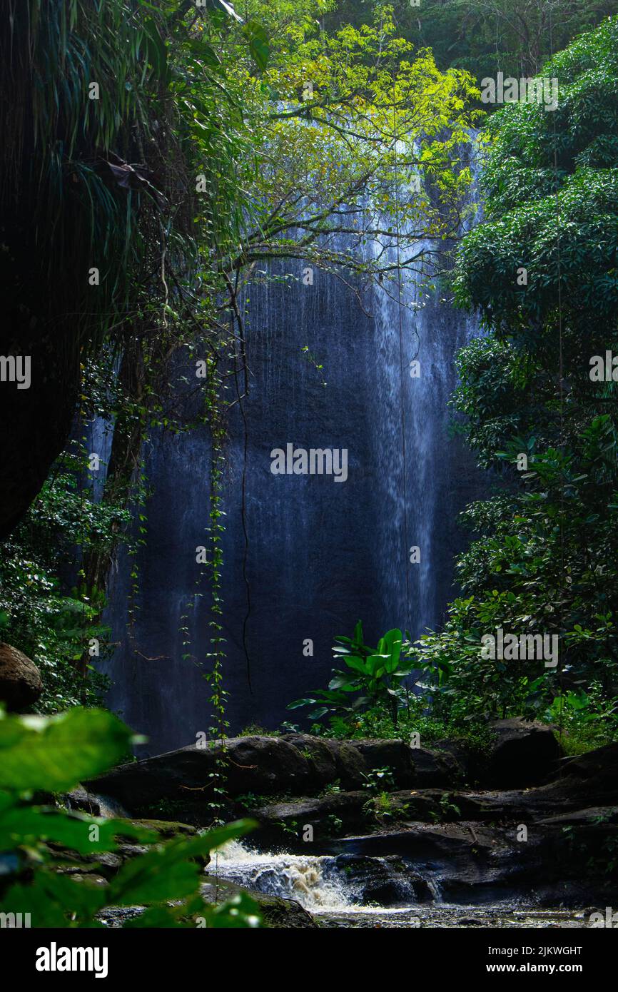 A vertical shot of a waterfall in a forest during the day Stock Photo ...
