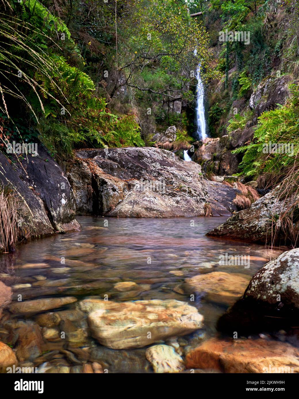 Aroes hi-res stock photography and images - Alamy