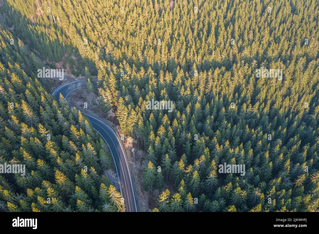 Aerial view on a road surrounded by coniferous trees Stock Photo - Alamy