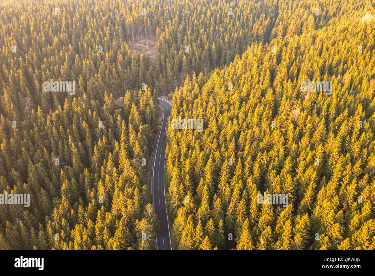 Aerial view on a road surrounded by coniferous trees Stock Photo - Alamy