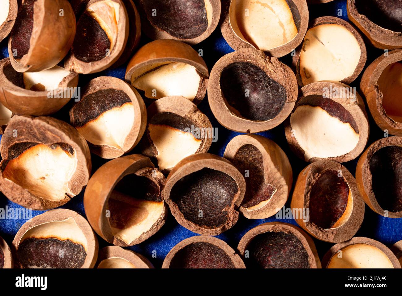 macadamia nut shell closeup, cracked macadamia nut, selective focus