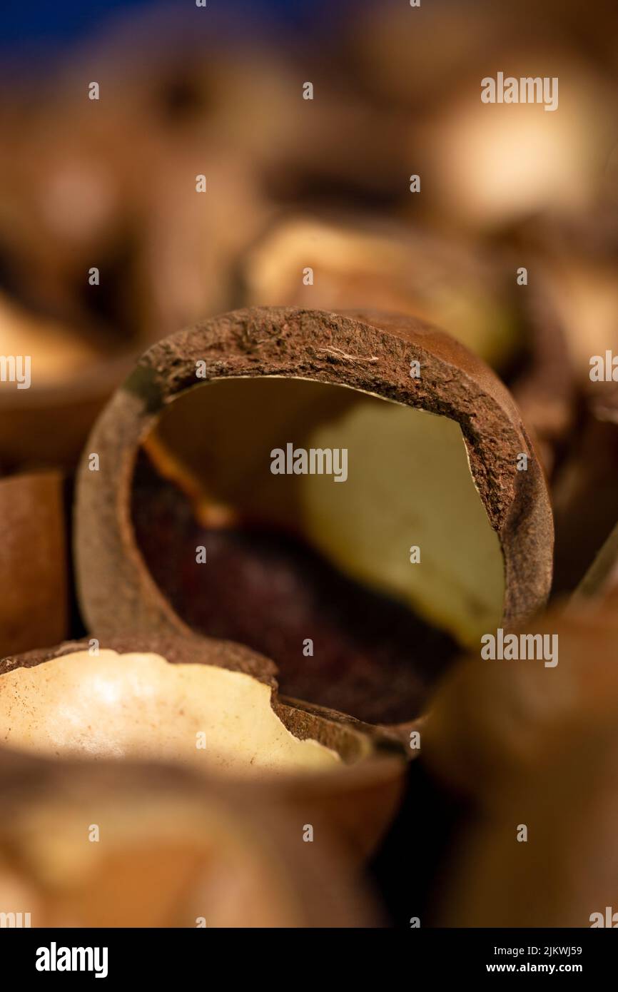macadamia nut shell closeup, cracked macadamia nut macro photo Stock