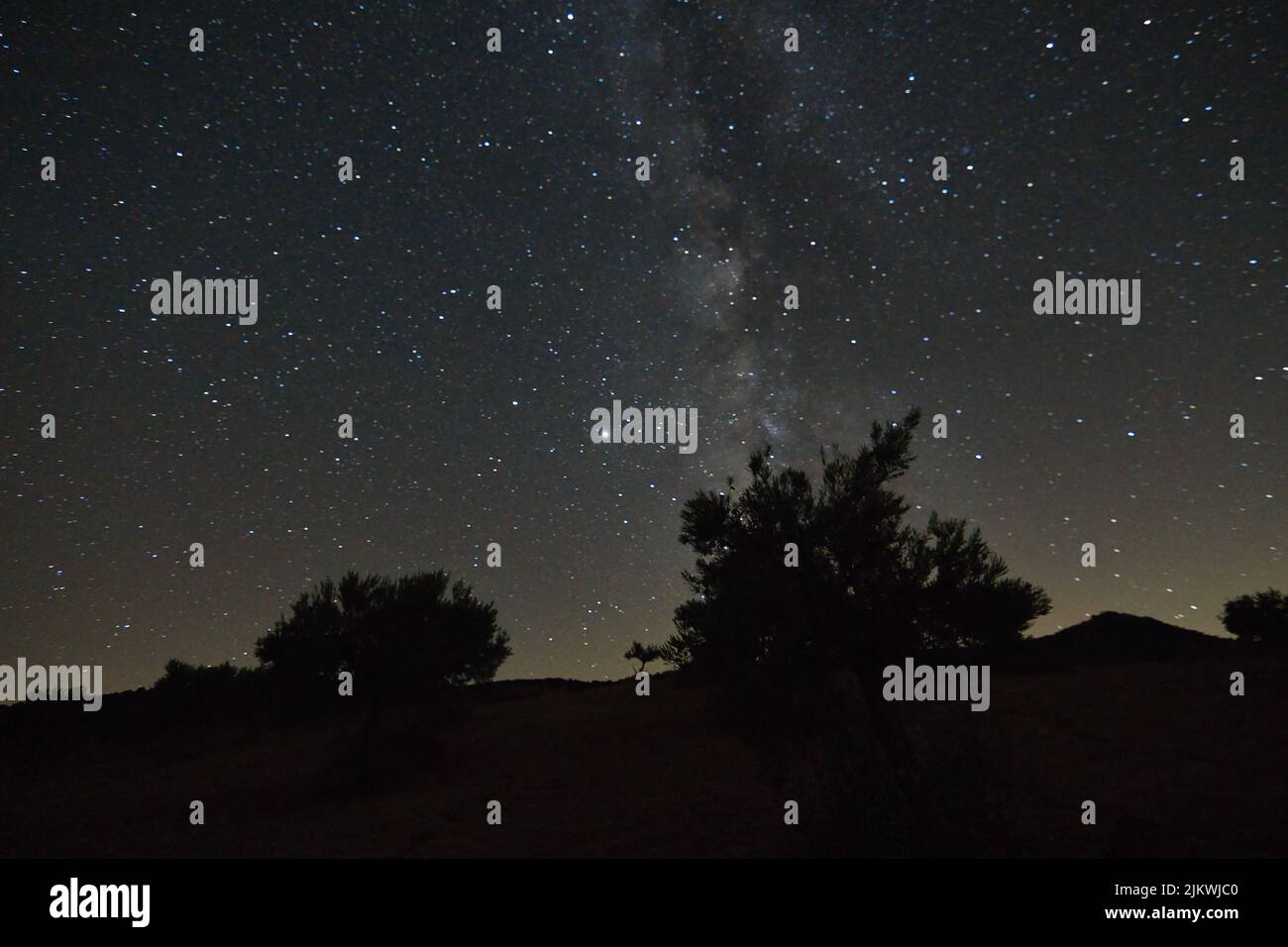 A silhouette of trees under starry night sky Stock Photo - Alamy