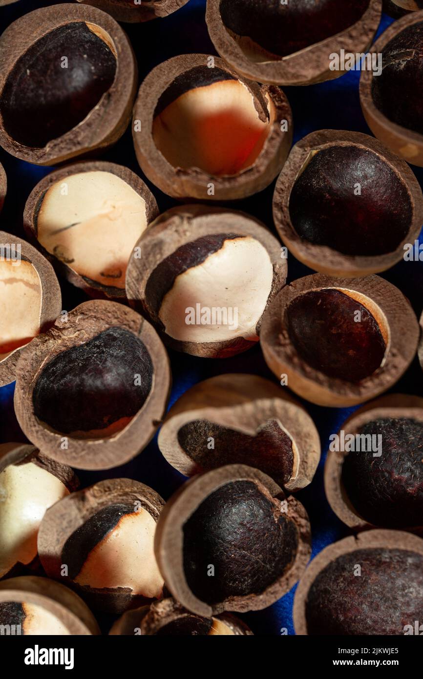 macadamia nut shell closeup, cracked macadamia nut, selective focus