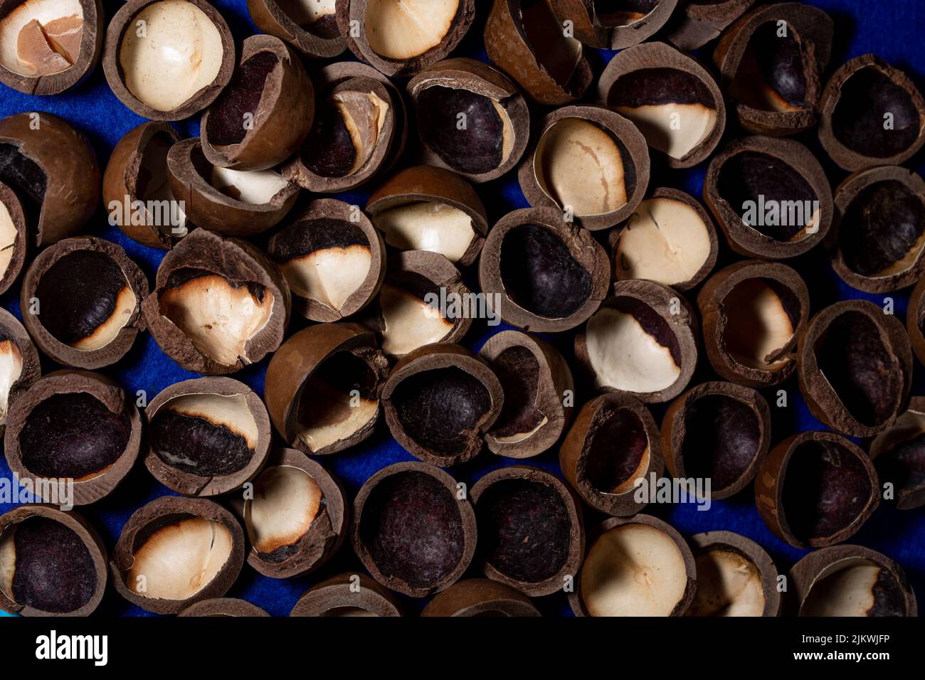 macadamia nut shell closeup, cracked macadamia nut, selective focus