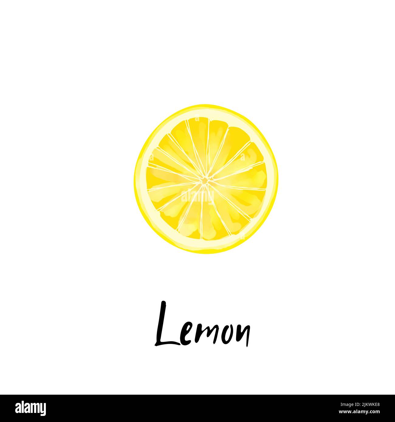 Illustration of a lemon slice isolated on a white background Stock ...