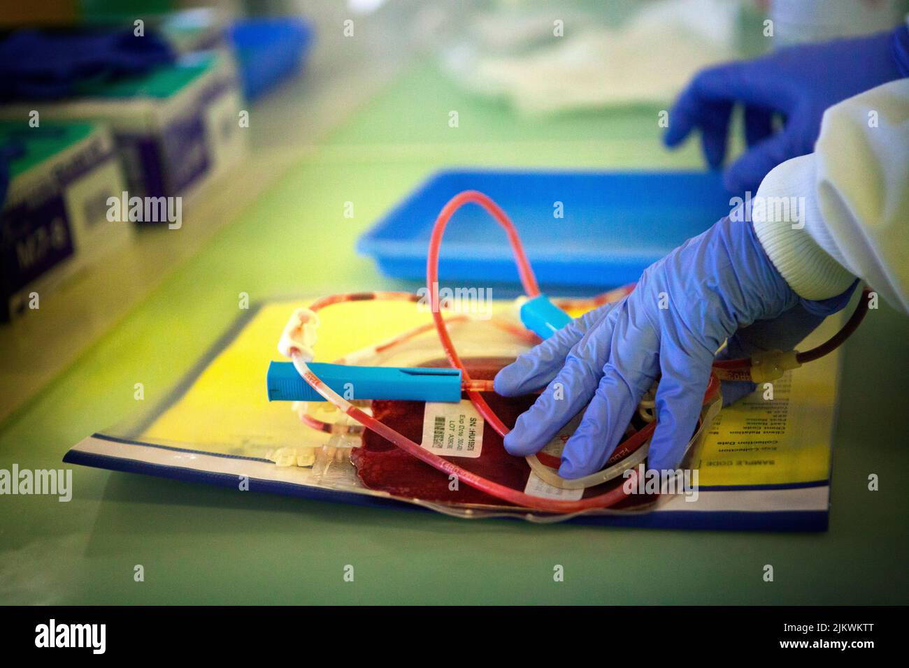 Biobank storing stem cells from blood and cord tissue. Stock Photo