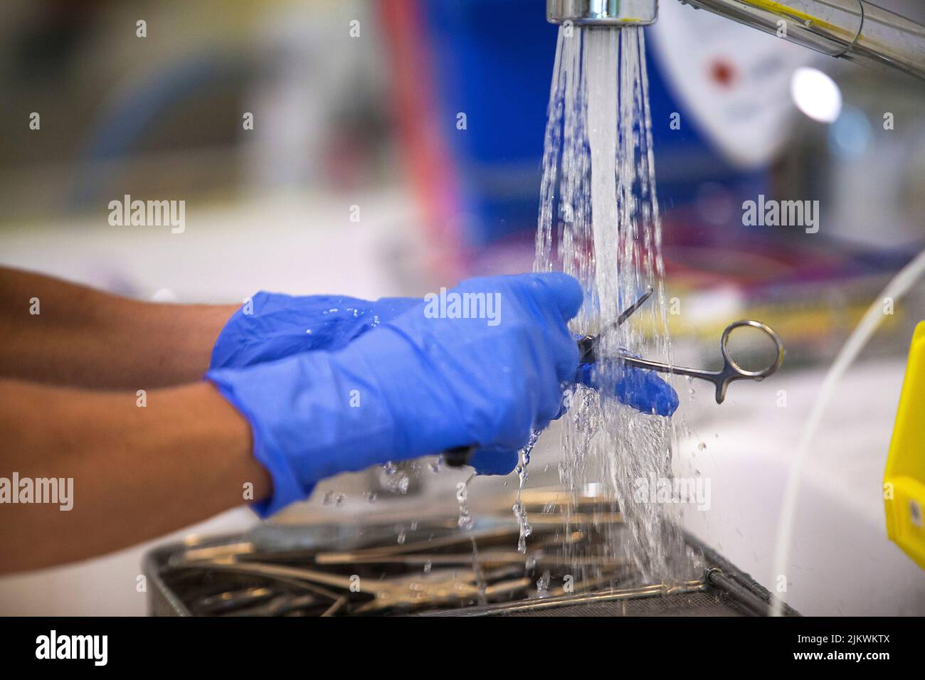 Before sterilization of surgical equipment, surgical instruments are washed by hand. Stock Photo
