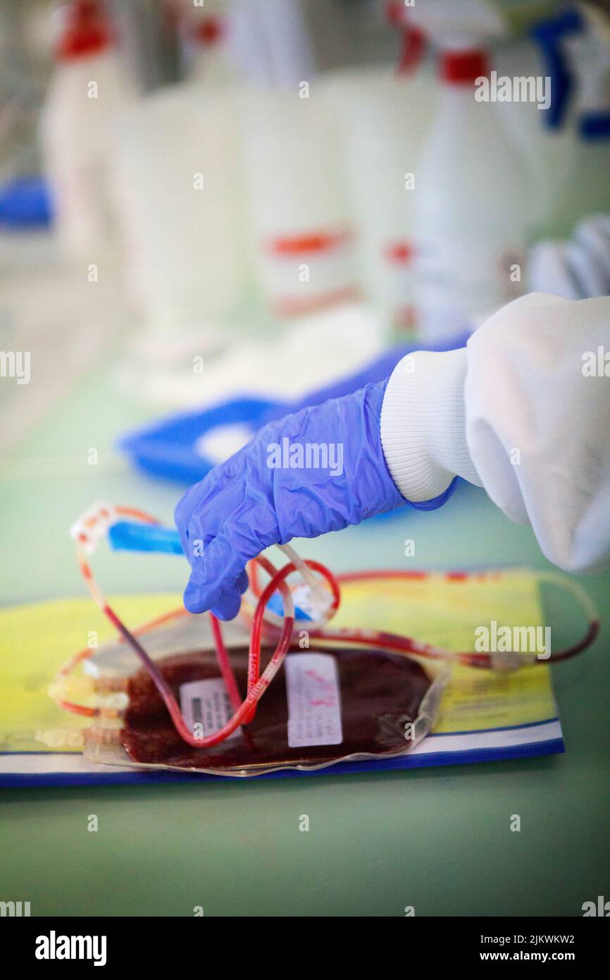 Biobank storing stem cells from blood and cord tissue. Stock Photo