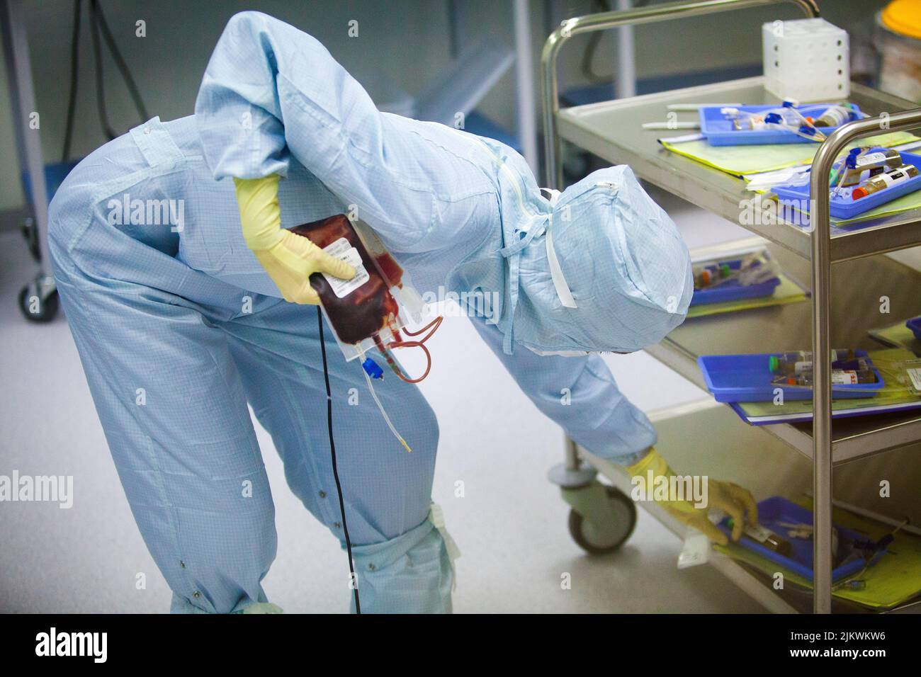 Biobank: isolation of stem cells from umbilical cord blood, with automatic devices for separating blood components. Stock Photo