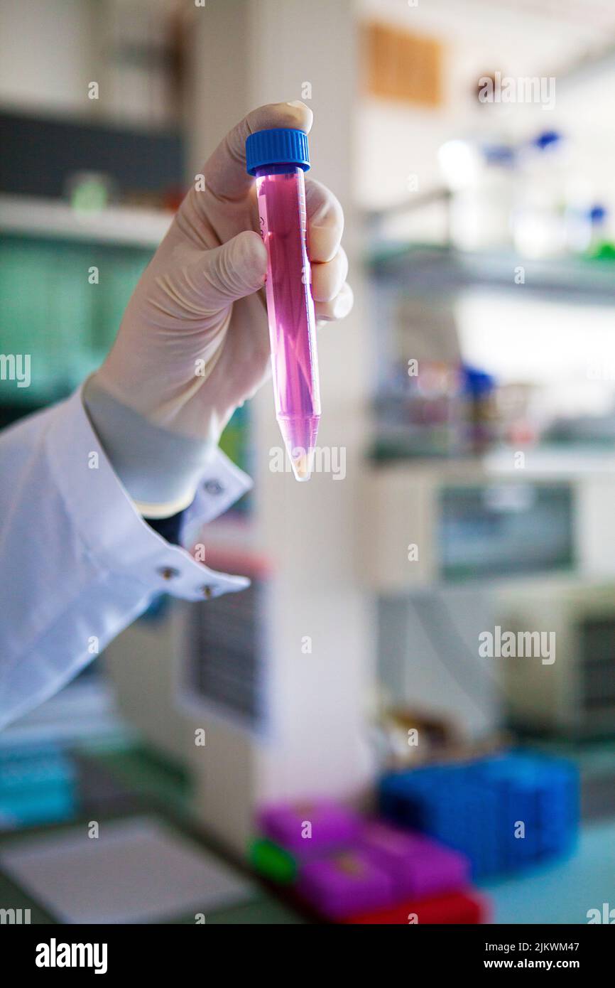 Bioprinting, an artificial production of biological tissues allowing regenerative medicine. Stock Photo