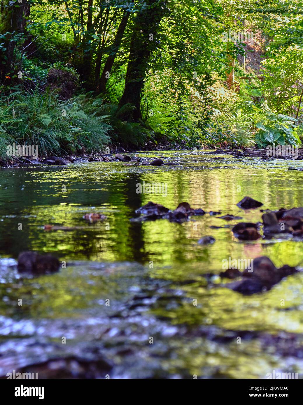 A vertical shot of the rocky Ribeira de Fraguas river in Aveiro, Portugal Stock Photo