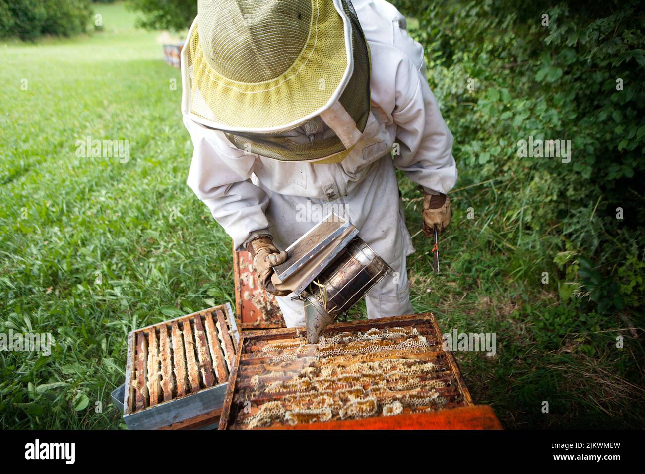 Harvesting honey from a beekeeper in France Stock Photo Alamy