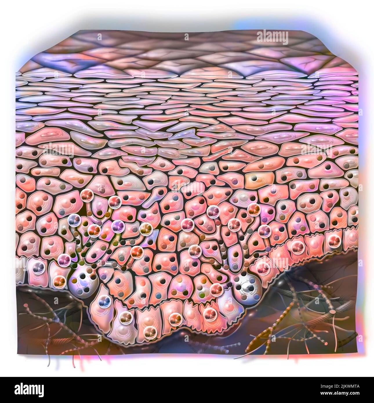 Is Your Skin Fading The Mystery Of Low Melanocyte Function - 5vtnh39