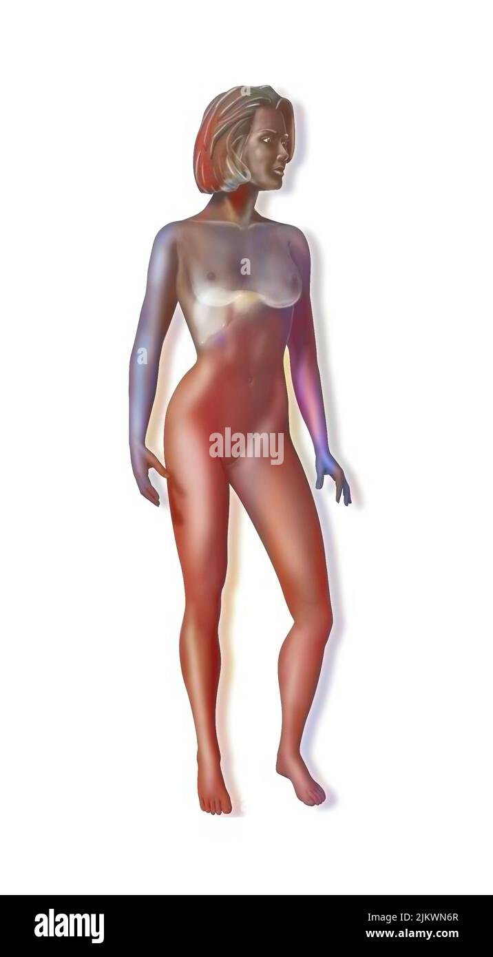 Location of the liver in a woman's silhouette. Stock Photo