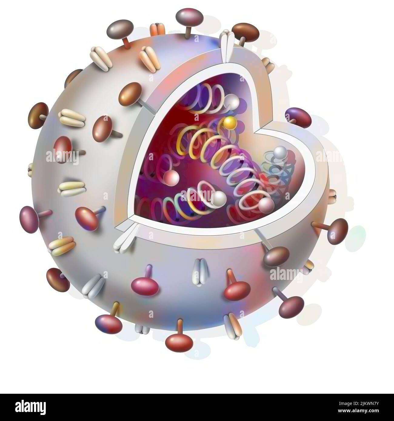 Schematic of any virus with DNA strands inside. Stock Photo