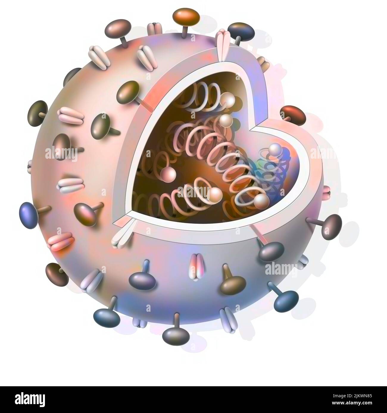 Schematic of any virus with DNA strands inside. Stock Photo