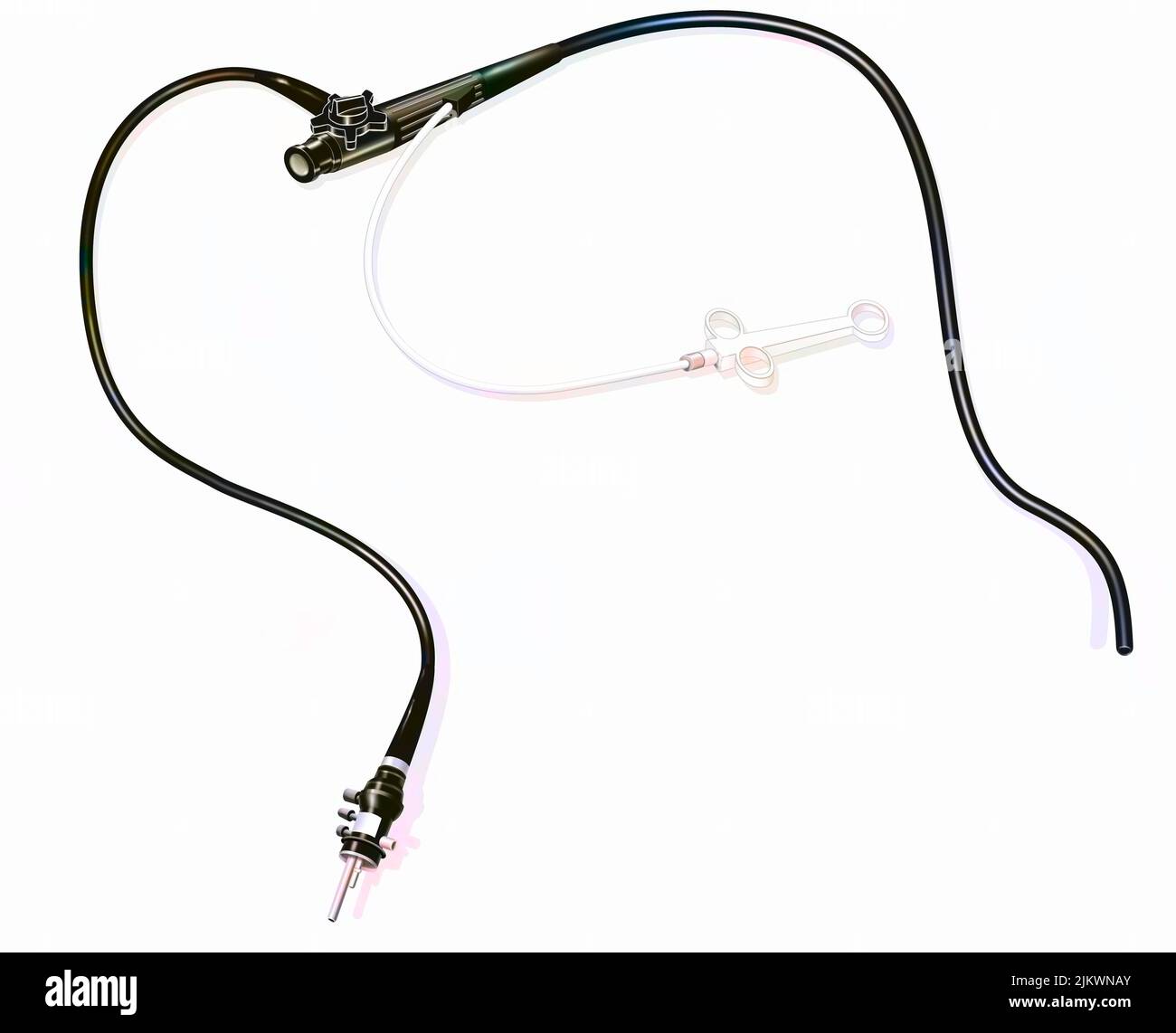 Gastroscope used in the medical examination of the stomach (gastroscopy). Stock Photo