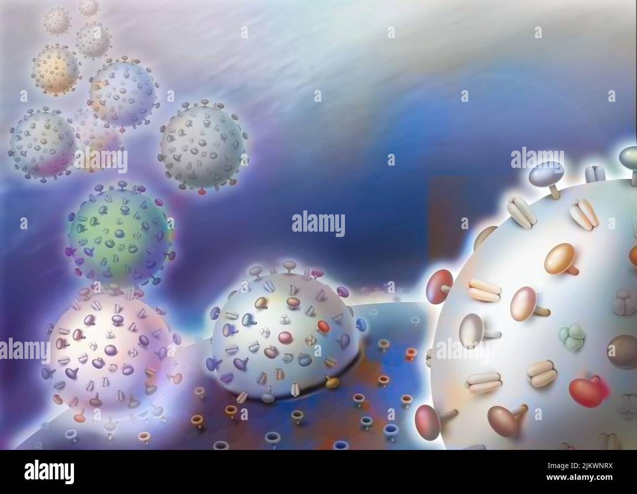 Viral invasion: Viruses attach themselves to the surface of the host cell. Stock Photo
