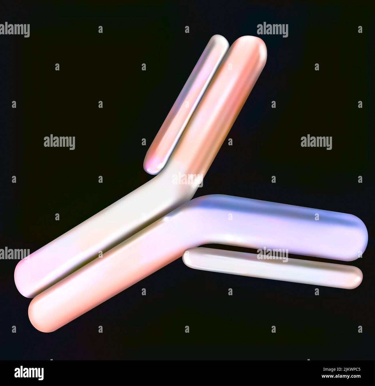 Antibody (immunoglobin E) with light and heavy chain binding site Stock