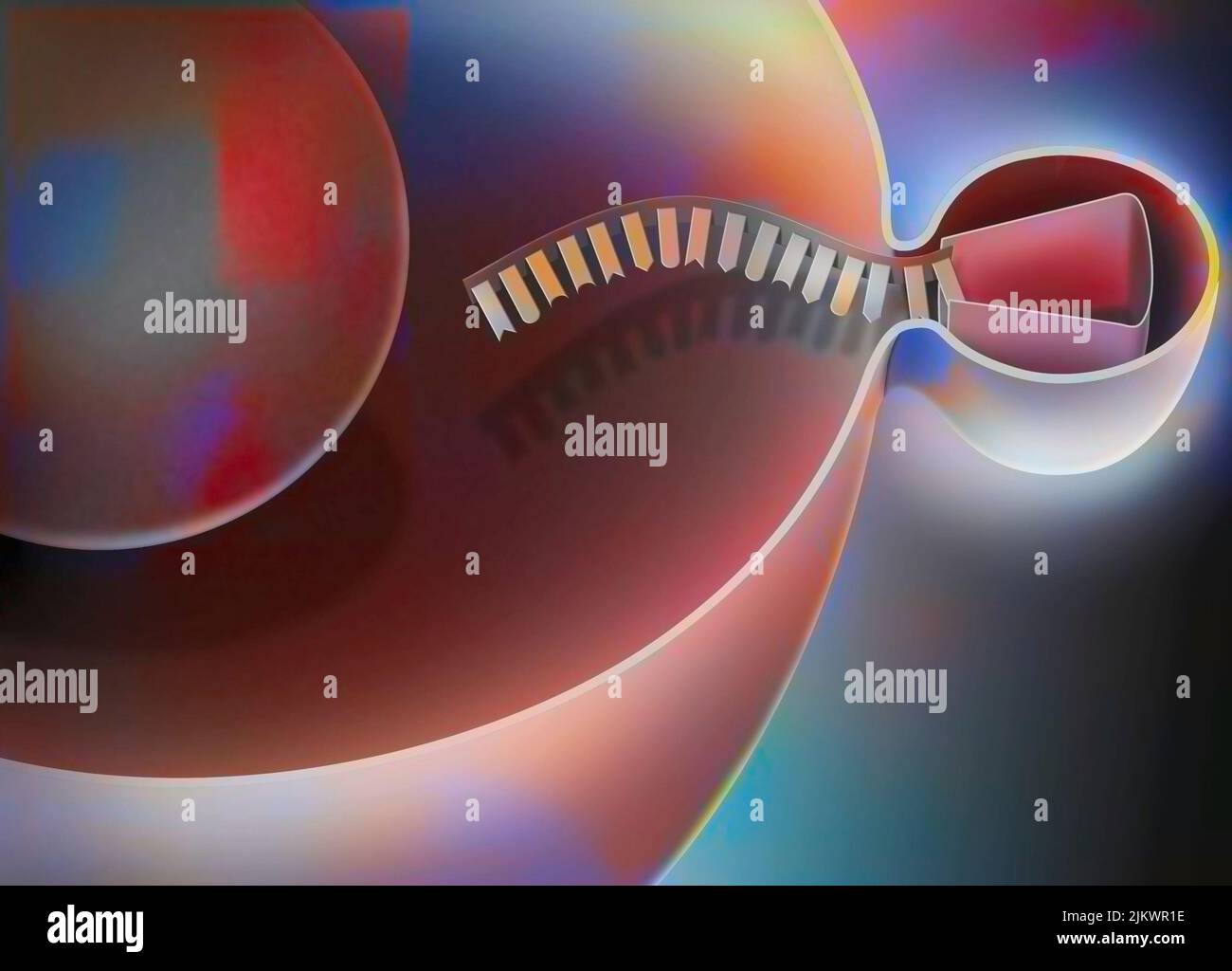 Interfering RNA, step 1: penetration of a virus into a human host cell to replicate. Stock Photo