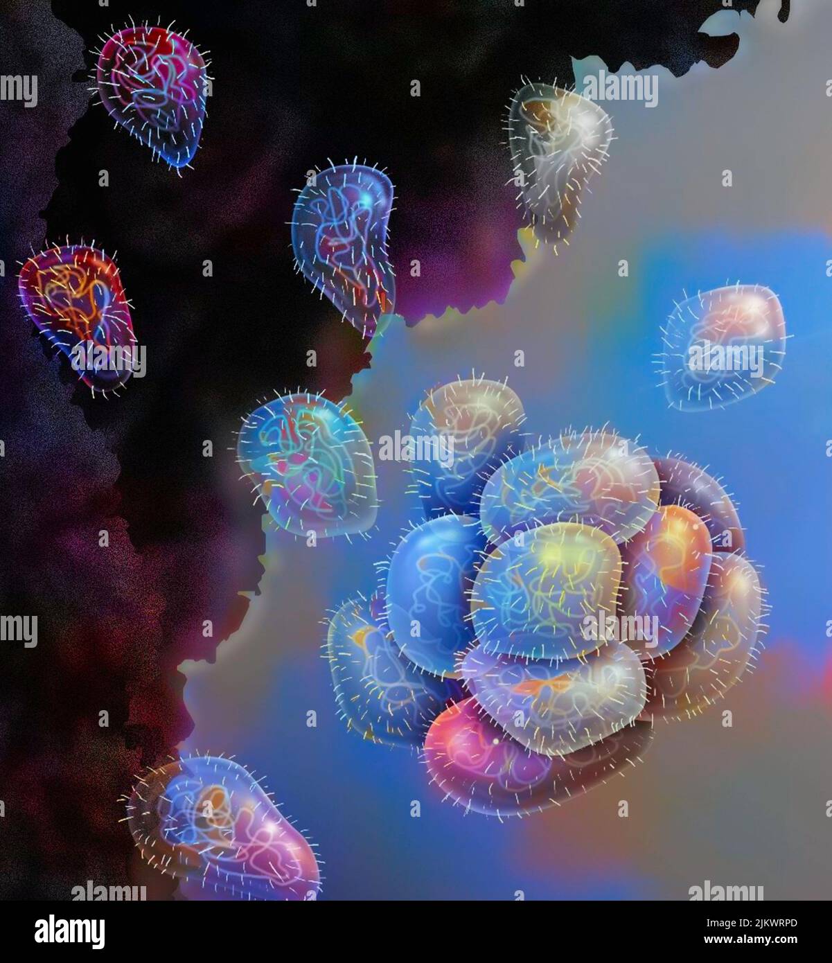 Monera hi-res stock photography and images - Alamy