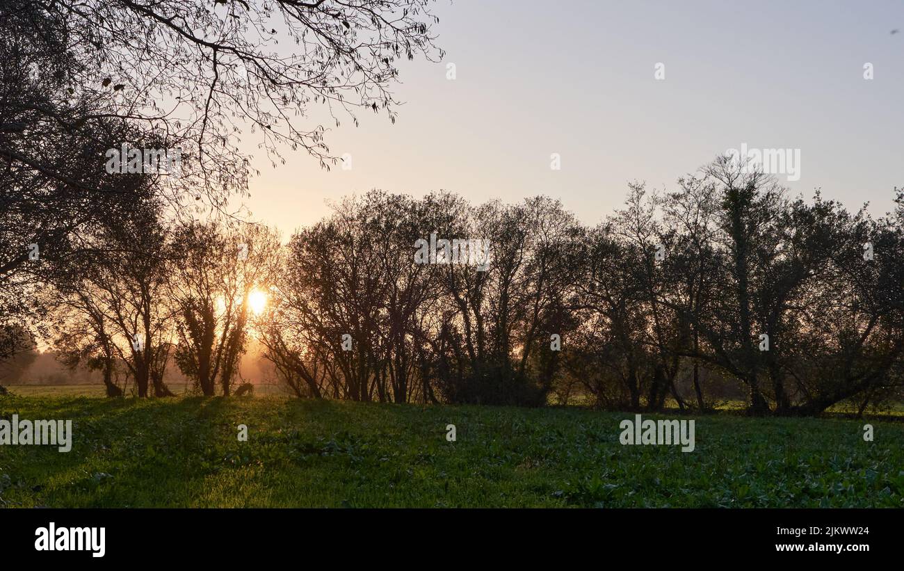 Trimmed lawn grass hi-res stock photography and images - Alamy