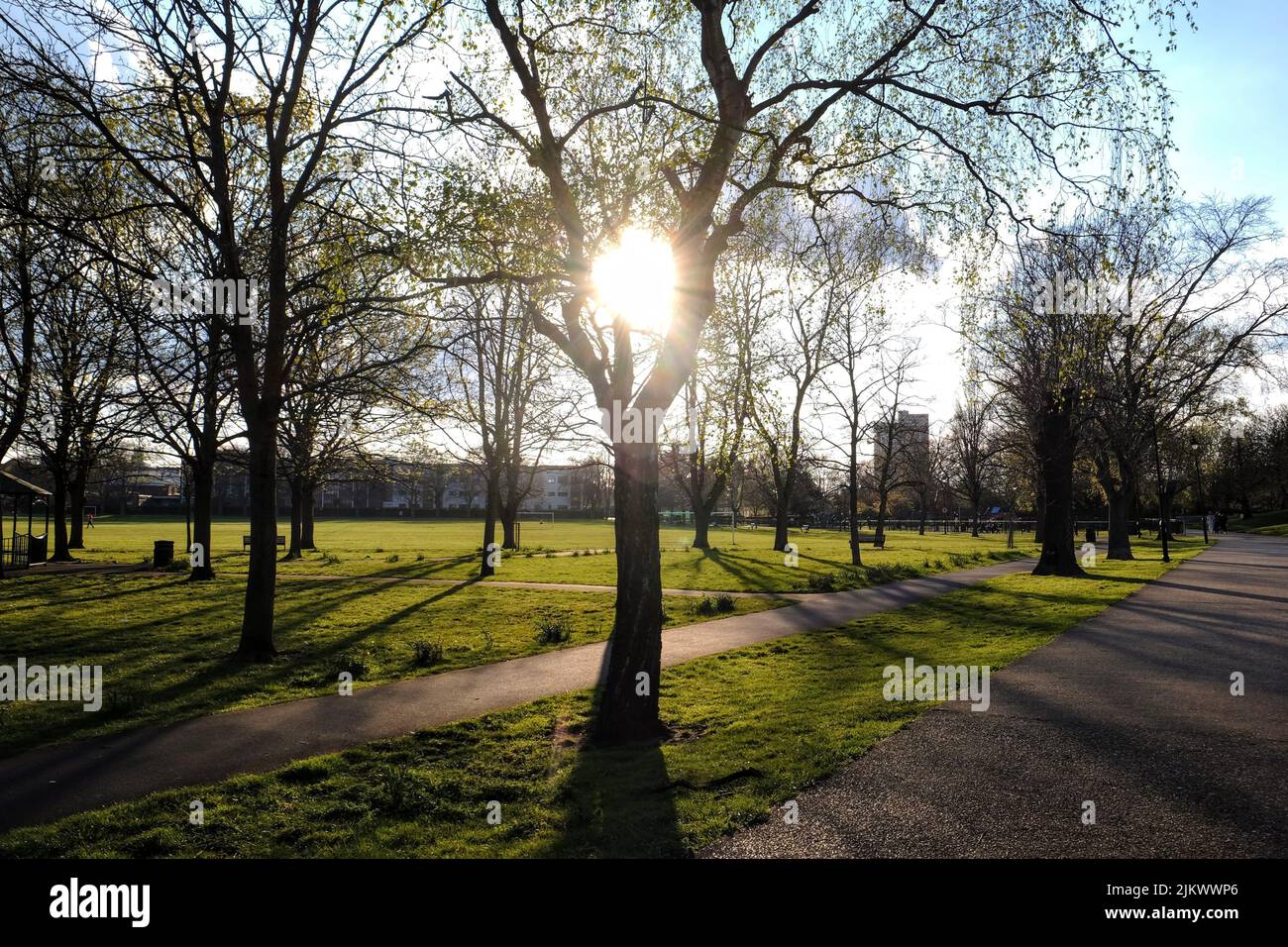 Beautiful green park hi-res stock photography and images - Alamy