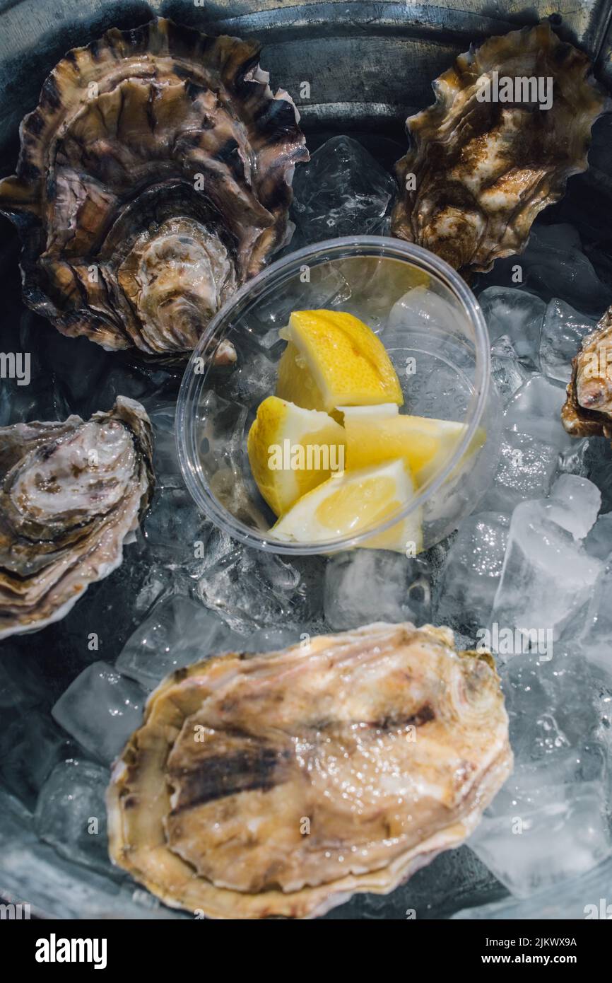 Oysters in shells hires stock photography and images Alamy