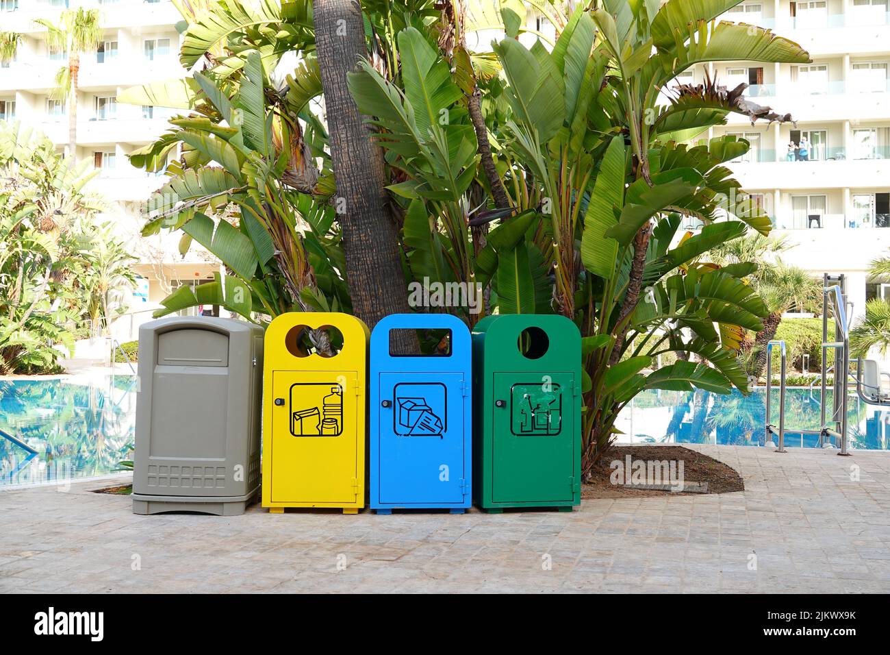 Picture shows different colored rubbish bins in front of palm trees and