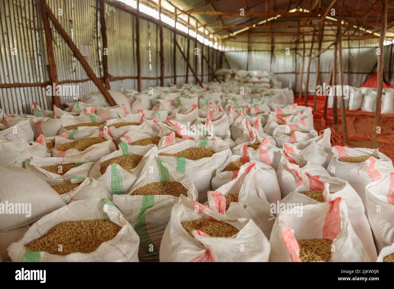 Open bags of coffee beans ready for export Stock Photo