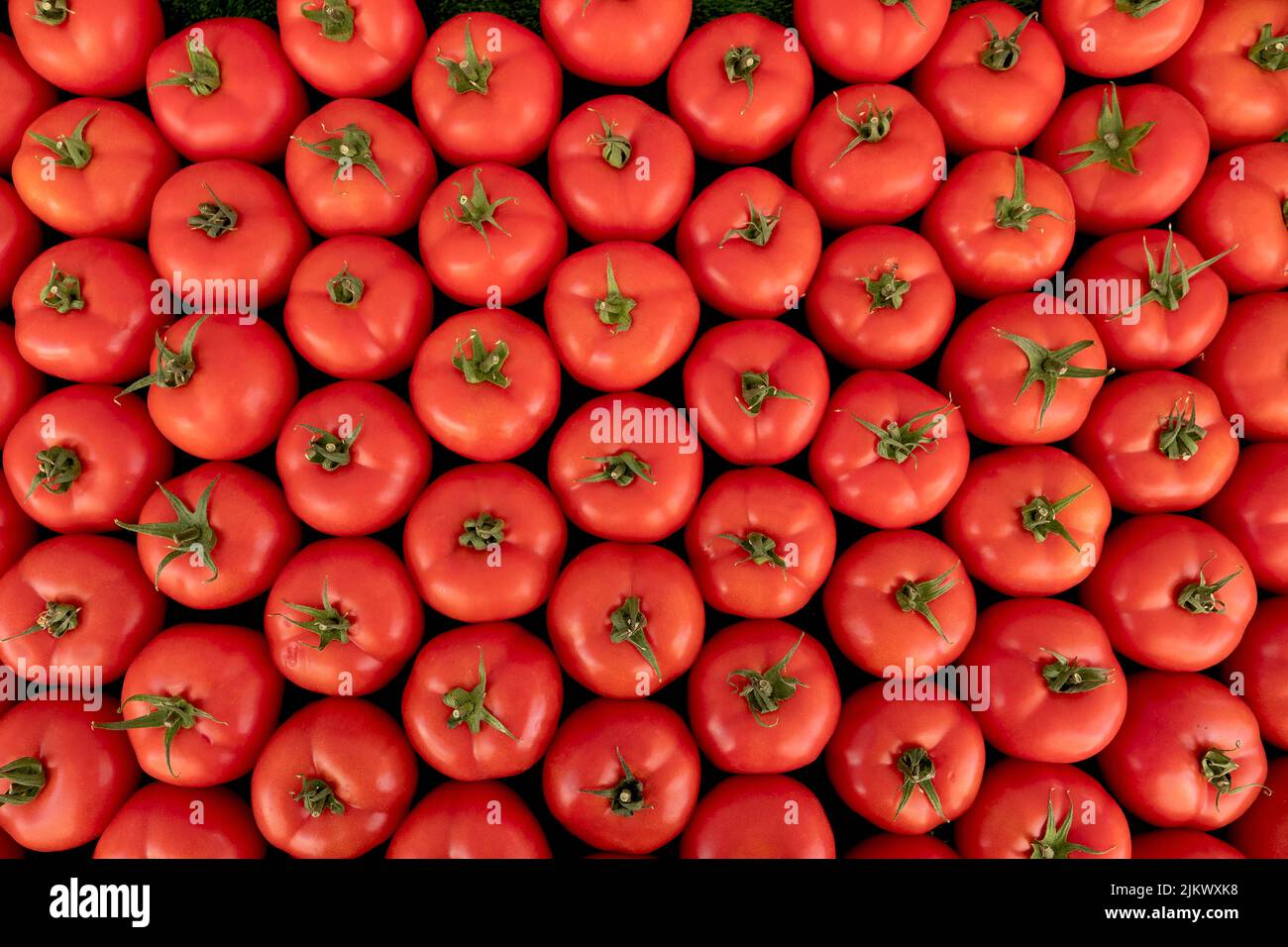 background with fresh red tomatoes in market Stock Photo
