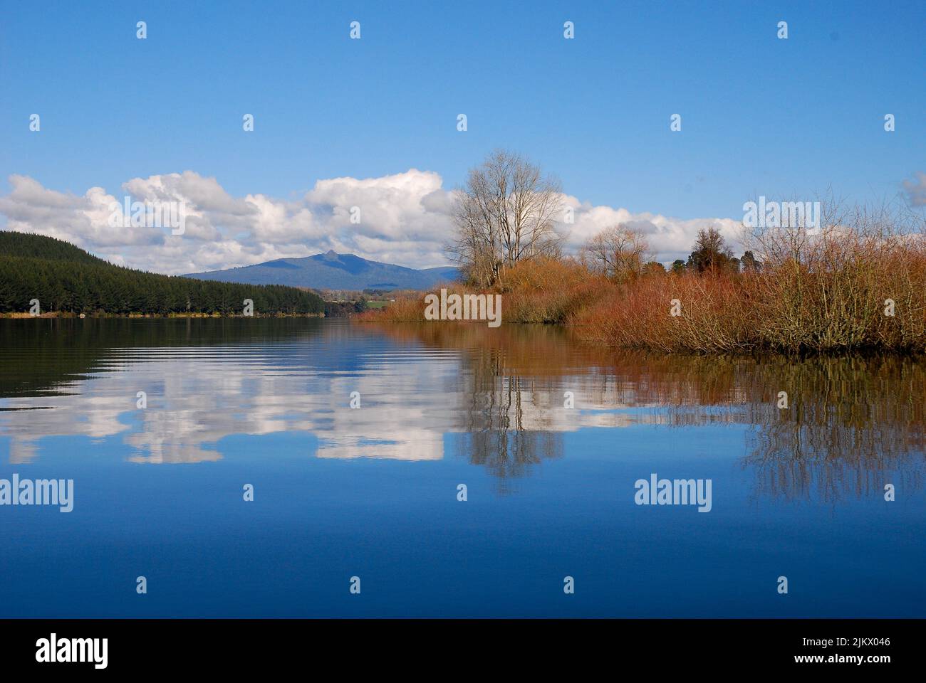 Reflections on Lake Maraetai, Mangakino, Taupo New Zealand Aotearoa Stock Photo