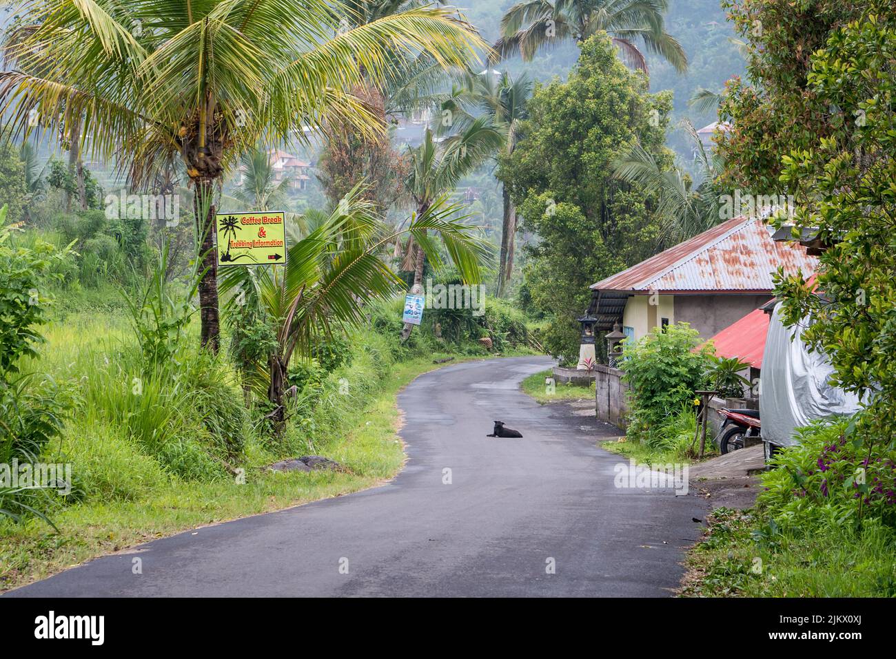 A natural view of a street near houses and agricultural fields in  Munduk, Bali, Indonesia Stock Photo