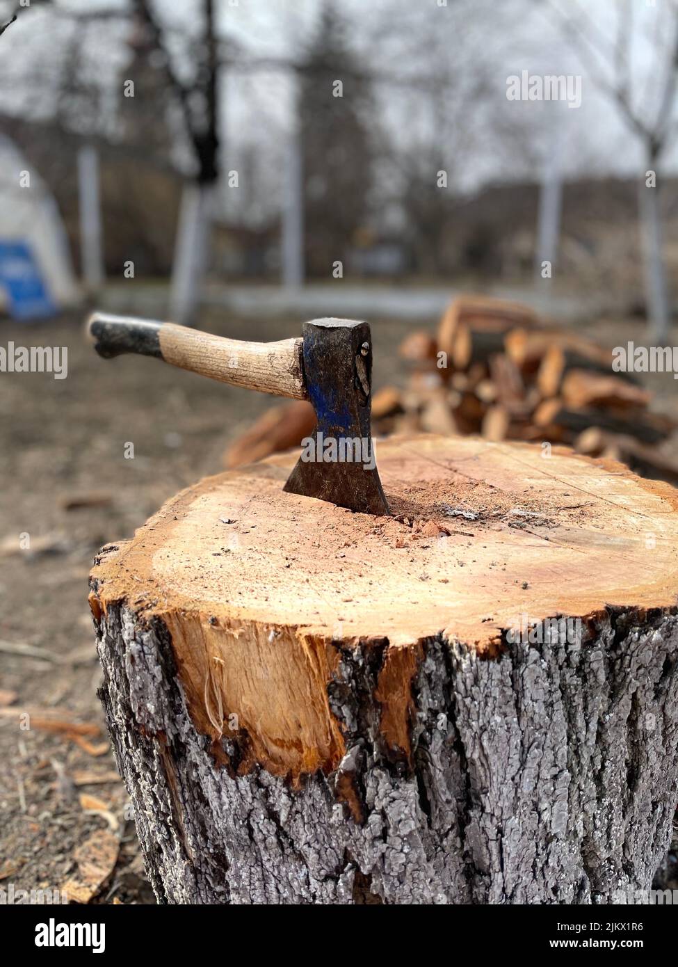 An old ax with a wooden handle stuck in a wooden log Stock Photo